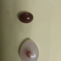 سنگ باباغوری و عقیق یمن