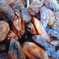 کشمش ومویز آفتابی کاشمر.ابگیری