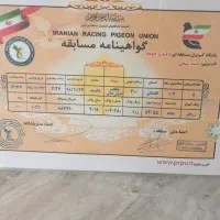 پلاکی مسافتی|پرنده|دهبکری, |دیوار