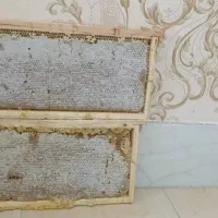 فروش مستقیم محصولات طبیعی (عسل باموم،عسل،ژل رویال)|خوردنی و آشامیدنی|داراب, |دیوار