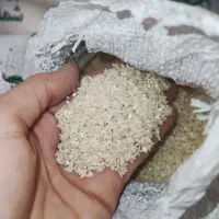 برنج طارم به قیمت  فریدونکنار|حراج|مشهد, پنجتن|دیوار