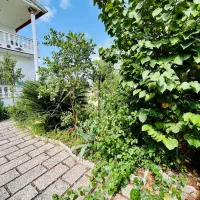 * ویلاباغ رومی تو دل شمال * زیرفقیمت|فروش خانه و ویلا|چمستان, |دیوار