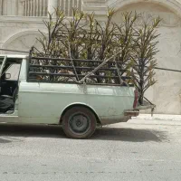 وانت بار|خدمات حمل و نقل|چابهار, |دیوار