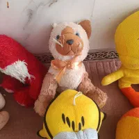 عروسک|اسباب‌بازی بچه|کرمانشاه, |دیوار