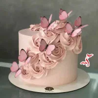 کیک خانگی|خوردنی و آشامیدنی|بهمن صغاد, |دیوار