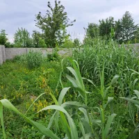 سهمیه آب خدایارخان