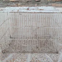 یک عدد قفس پرنده