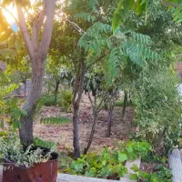 زمین-کشاورزی-و-باغی