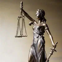 وکیل دادگستری (وکالت به صورت تخصصی)
