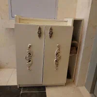 جاکفشی سالم