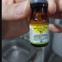 جوجه بوقلمون|حیوانات مزرعه|شیراز, لاله|دیوار