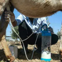 دعوت به همکاری فروشگاه های طب سنتی و عطاری ها|عمده‌فروشی|تهران, تهرانپارس شرقی|دیوار