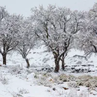 روستای آقابزرگی