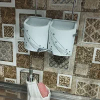 ظروف چینی