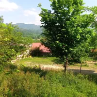 زمین روستایی جنگلی 250متری کوهپایه ای ویو ابدی