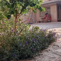 سوئیت روزانه.هفتگی پشت فرودگاه بین خرمشهر وابادان