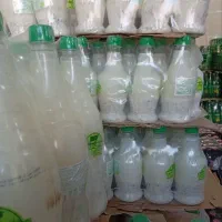 دوغ کوزه ای