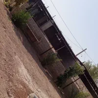 فروش گاوداری با پروانه بهره‌برداری و بهداشتی