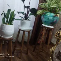 پایه گل و استند