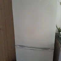 یخچال سلن بدون پوسیدگی۰سالم