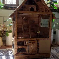 قفس زیبا و سالم