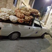 پیاز به قیمت مناسب زیر قیمت میدان تره بار|خوردنی و آشامیدنی|رباط‌کریم, رباط‌کریم|دیوار