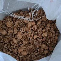 فروش پوست گردو برای زعال