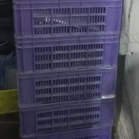 سبد سبز رنگ