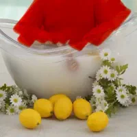 دکور آتلیه