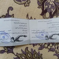 بلیط استخر|بلیت مسابقه‌ها و مکان‌های ورزشی|قم, آزادگان|دیوار