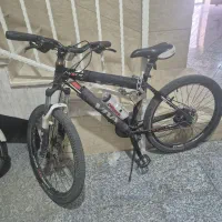 دوچرخه ویوا اصلی