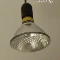 1400 عدد لامپ درجه یک کارتن دار نو زیر قیمت