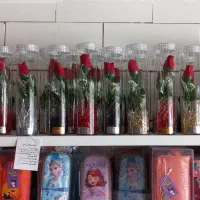 فلکسی عروسک روسی و خرس|صنایع دستی و سایر لوازم تزئینی|شهرکرد, |دیوار