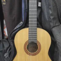 گیتار C40M