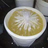 سفیده تخم مرغ عمده|عمده‌فروشی|مشهد, فاطمیه|دیوار