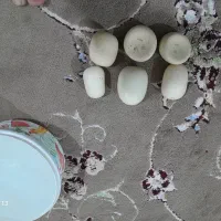 100عددسنگ اسیاب و|کلکسیون اشیاء عتیقه|فیروزه, |دیوار