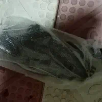 هواکش موتور ای دی وی