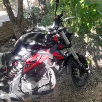 بنلی ۳۰۰ جفت سیلندر نیوفیس