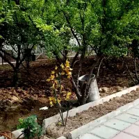 باغچه-از-200-متر-تا-9000-متر