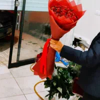 فروش عمده گل نرگس مستقیم از مزرعه به سراسر کشور|گل و گیاه طبیعی|شیراز, جوادیه|دیوار