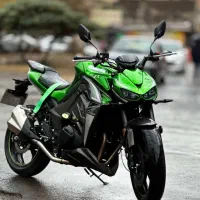 های پرو بلنتا 1402