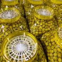 پخش زیتون|عمدهفروشی|رشت, فلسطین|دیوار