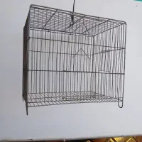 قفس پرنده عروس هلندی وسره بفروش میرسد|لوازم جانبی حیوانات|مشکیندشت, |دیوار