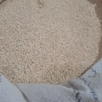 برنج عنبربو|خوردنی و آشامیدنی|دره شهر, |دیوار