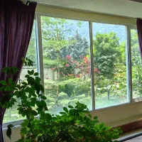 فرنیش ، ویو دریا و جنگل ، داخل مجتمع|اجارهٔ آپارتمان|رویان, |دیوار