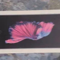 آیفون 6sپلاس