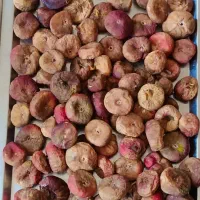 انجیر رشه و سیاه خشک شده