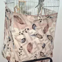 یک جفت عروس هلندی|پرنده|قم, هنرستان|دیوار