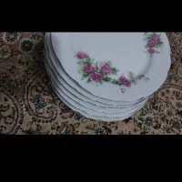 بشقاب و پیاله و کاسه گلسرخی