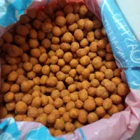 انواع اجیل پسته .|خوردنی و آشامیدنی|امیرآباد, |دیوار